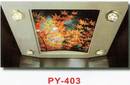 車廂天花板造型PY-403