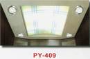車廂天花板造型PY-409